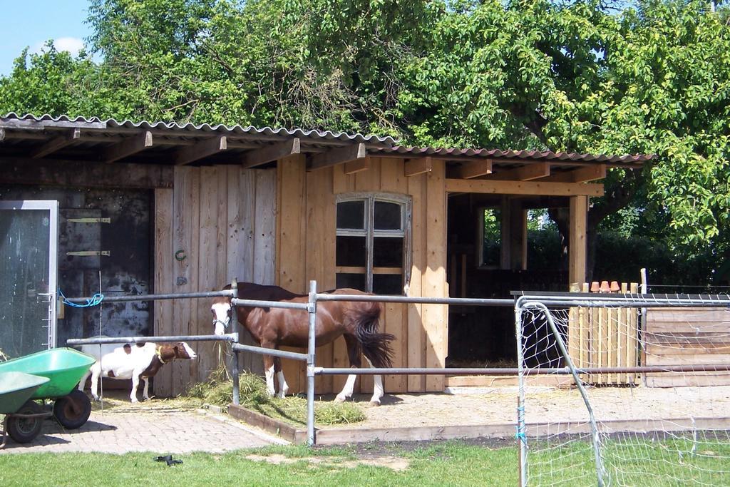 Landhotel Zum Adler Oberbechingen Luaran gambar
